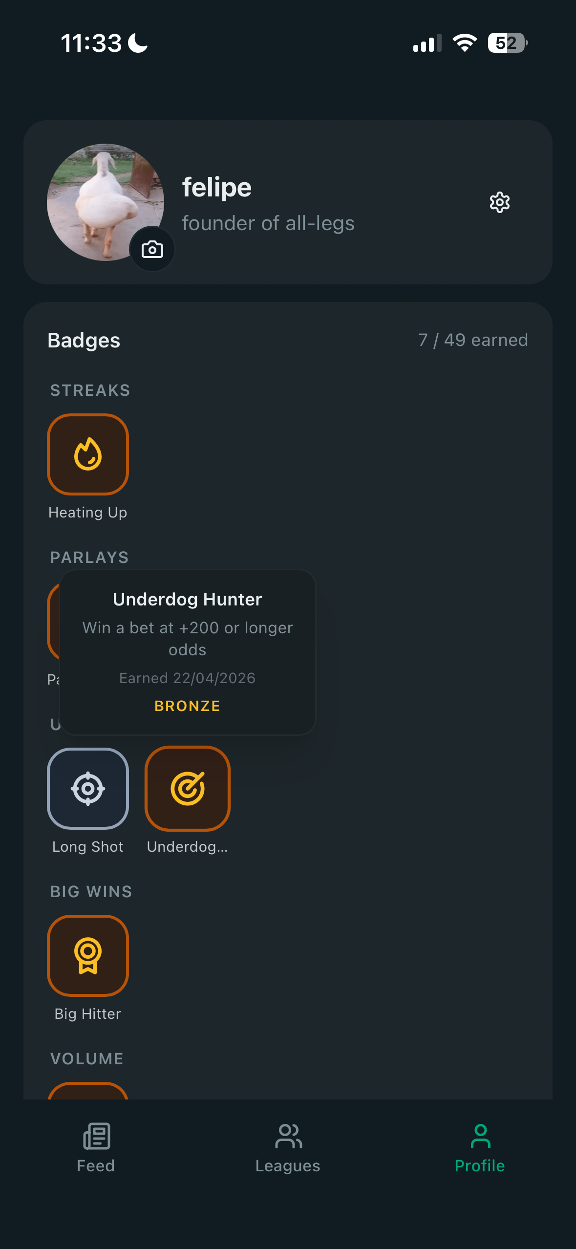 Profile and badges